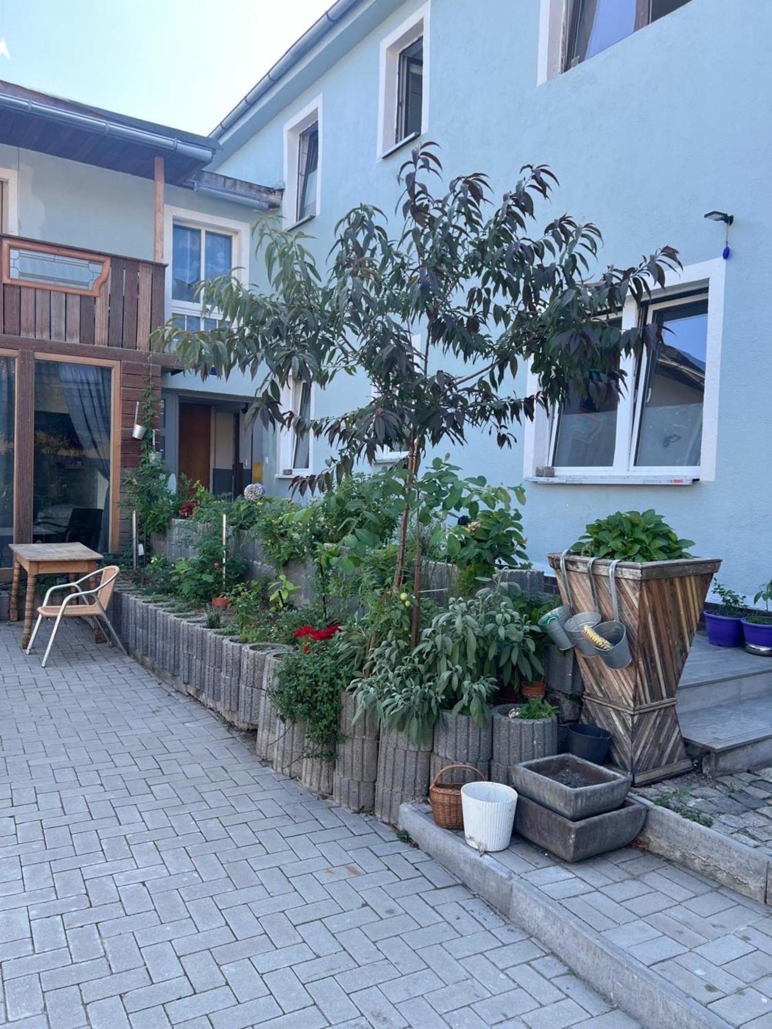 Antike Wohnmoeglichkeit Kurz Und Langfristig 100Qm Erdgeschoss Appartement Lauchhammer Buitenkant foto